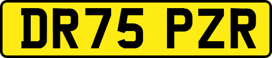 DR75PZR