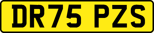DR75PZS