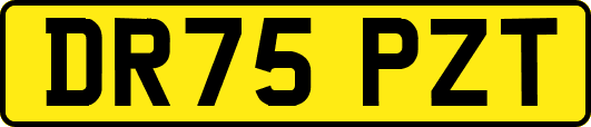 DR75PZT