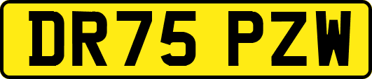 DR75PZW