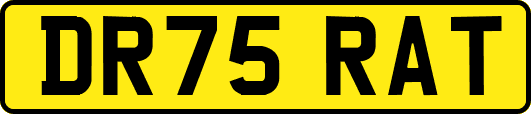 DR75RAT