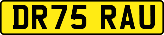 DR75RAU