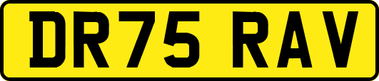 DR75RAV