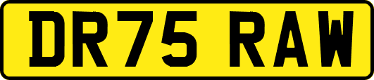 DR75RAW