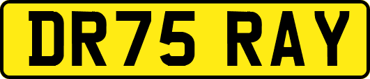DR75RAY