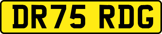 DR75RDG