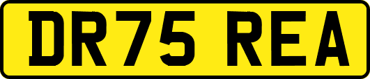 DR75REA