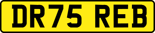 DR75REB