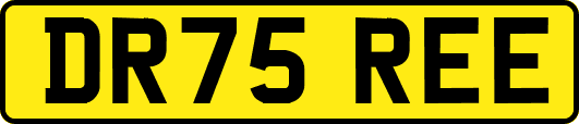 DR75REE