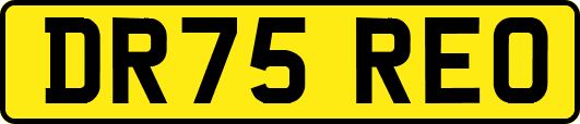 DR75REO
