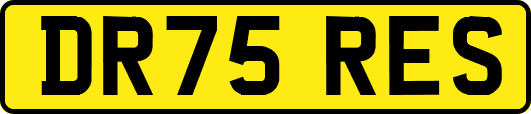 DR75RES