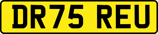 DR75REU