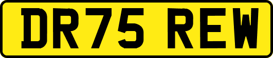 DR75REW
