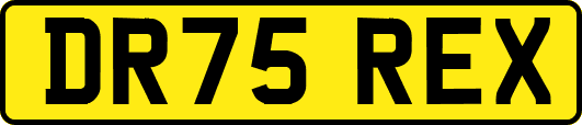DR75REX