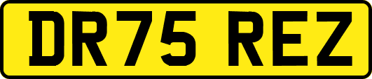 DR75REZ