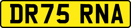 DR75RNA