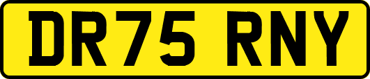 DR75RNY