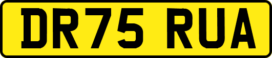 DR75RUA