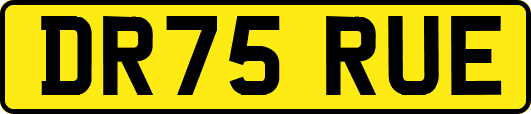 DR75RUE