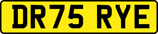 DR75RYE