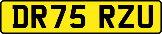 DR75RZU