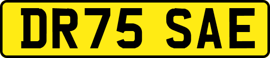 DR75SAE