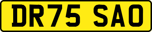DR75SAO