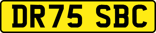 DR75SBC
