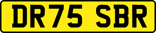 DR75SBR