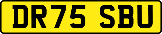 DR75SBU