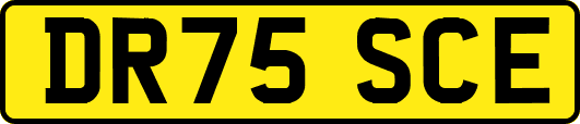 DR75SCE