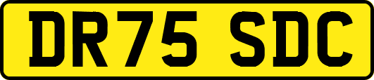 DR75SDC