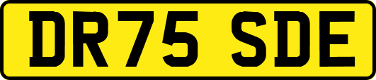 DR75SDE