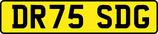 DR75SDG
