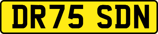 DR75SDN