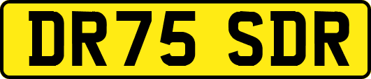 DR75SDR