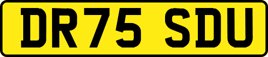DR75SDU