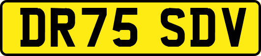 DR75SDV