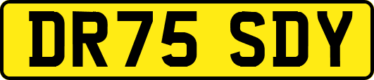 DR75SDY