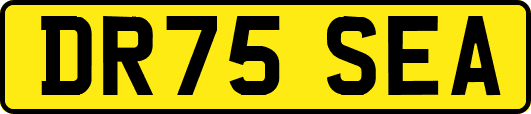 DR75SEA