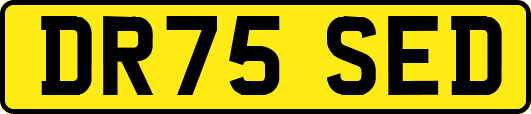DR75SED