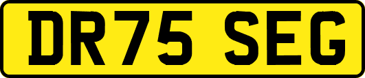 DR75SEG