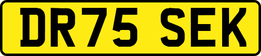 DR75SEK