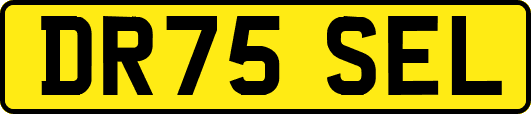DR75SEL