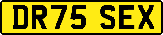 DR75SEX