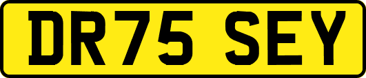DR75SEY