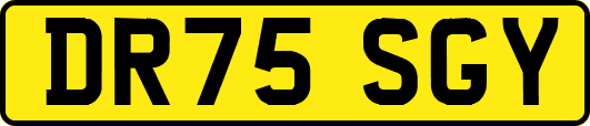 DR75SGY