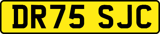DR75SJC