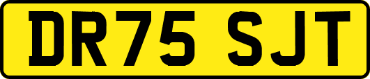 DR75SJT