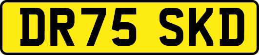 DR75SKD